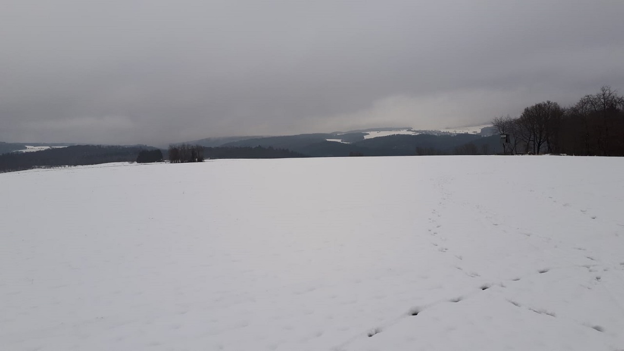 Winterwanderung2019_3