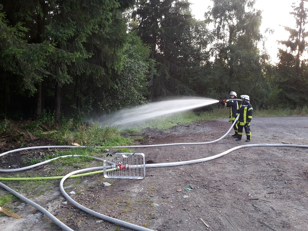 Übung Waldbrand 1 09.07.2019