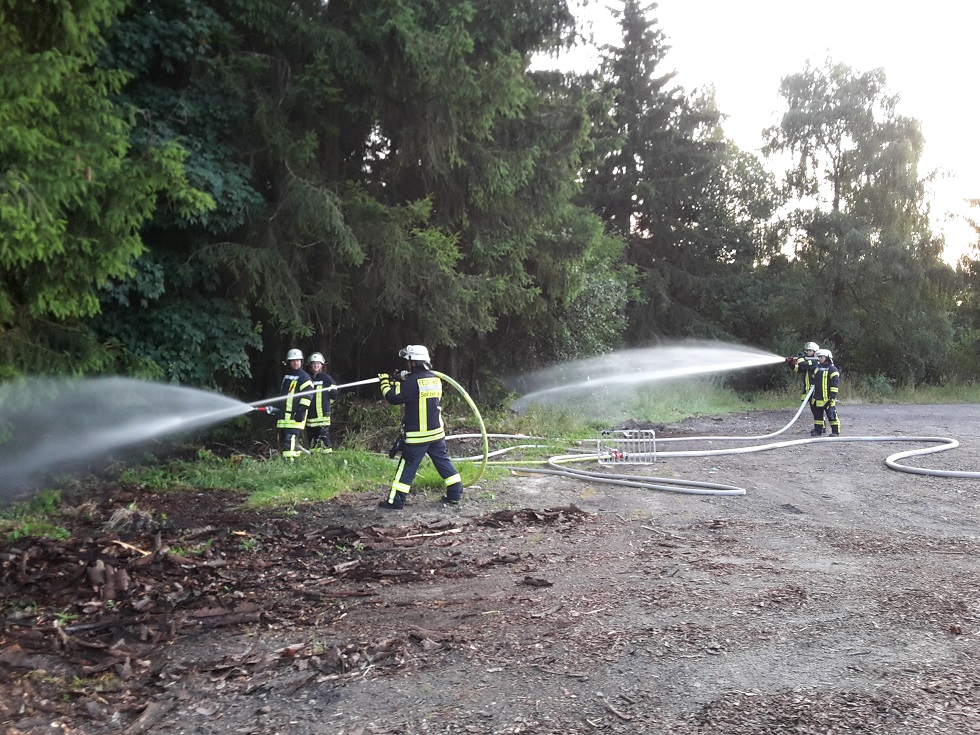 Übung Waldbrand 2 09.07.2019