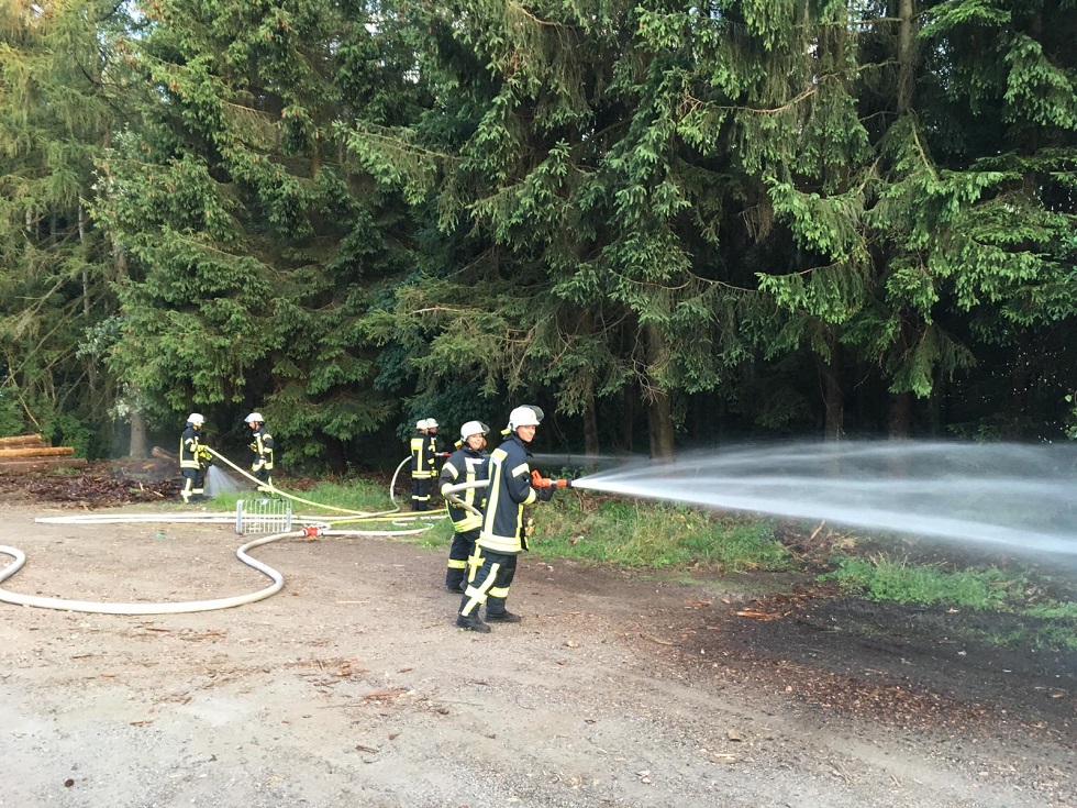 Übung Waldbrand 5 09.07.2019